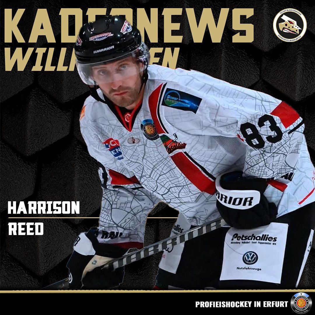 Harrison Reed wechselt nach Erfurt