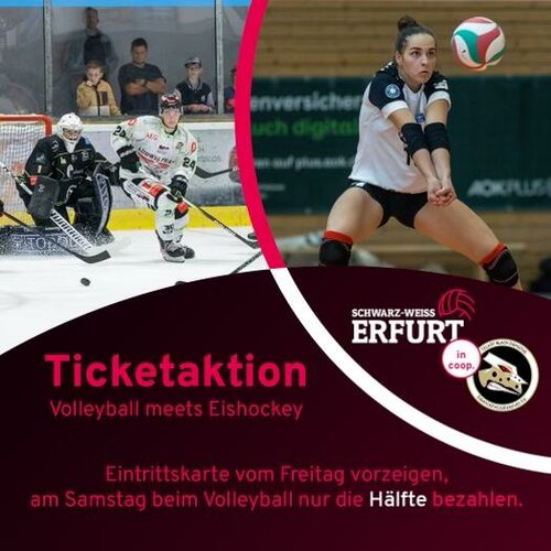 Volleyball meets Eishockey 