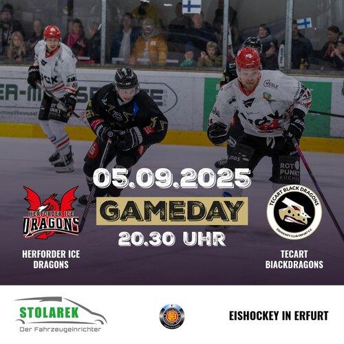 Endlich wieder Eishockey