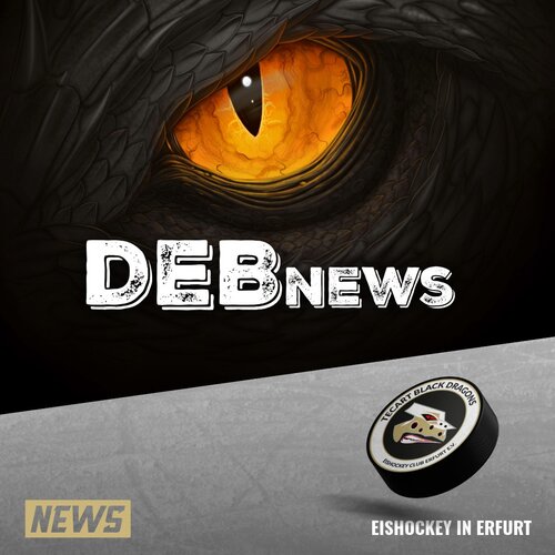 Erstes Fazit des DEB's