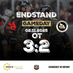 02.11 vs Halle-17-endstand (1).jpeg