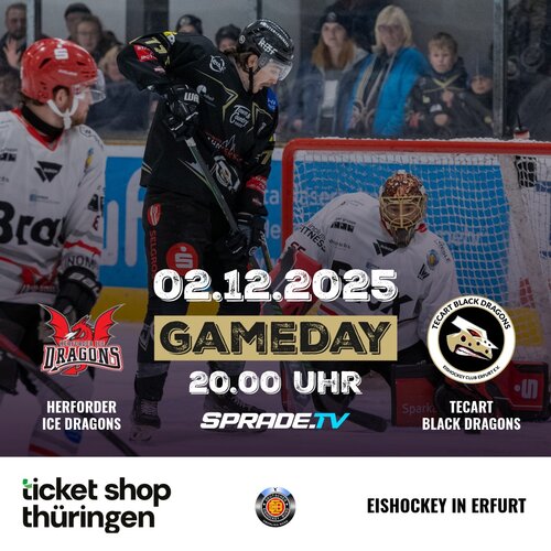 Drachenduell in Herford