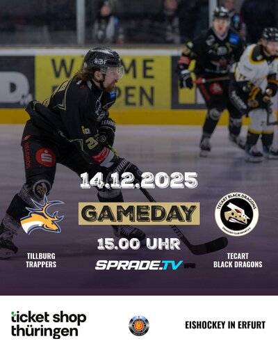 Drachen reisen in die Niederlande