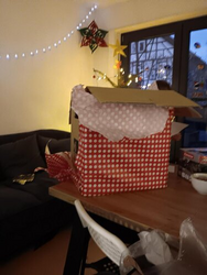 WhatsApp Image 2025-12-25 at 11.52.16.jpeg