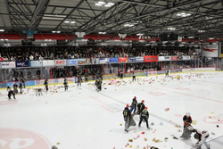 WhatsApp Image 2025-12-24 at 12.17.50.jpeg