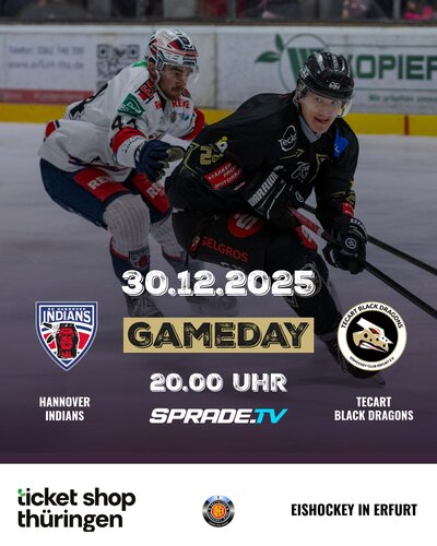 Drachen reisen zum Pferdeturm