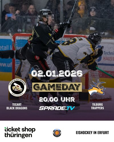 Drachen vs. Trappers