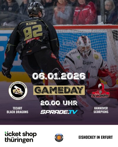 Dragons treffen auf Scorpions