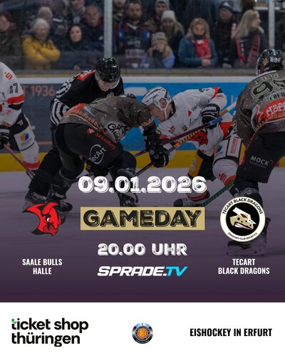 Unsere Drachen reisen zu den Saale Bulls