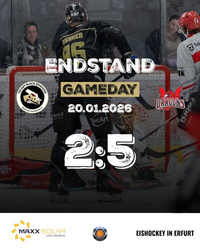 20.01. vs Herford-19-endstand.jpeg