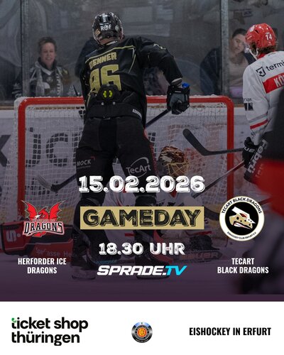 Drachen zu Gast in Herford