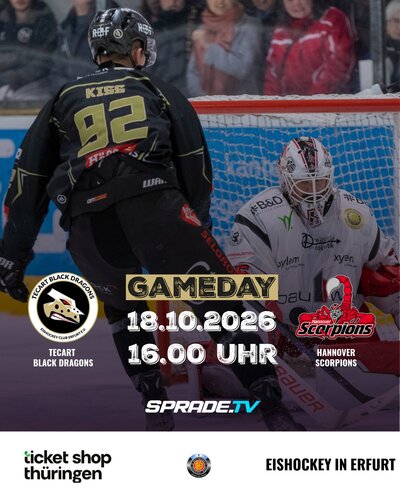 Am Sonntag ist wieder Eishockey in Erfurt!